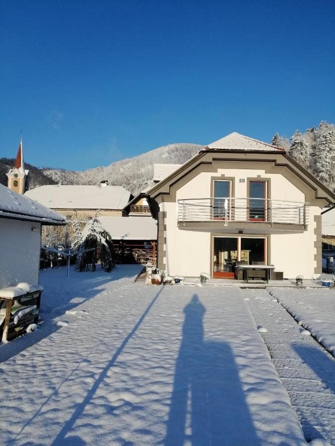 Planina  Hisa Haasbergヴィラ エクステリア 写真