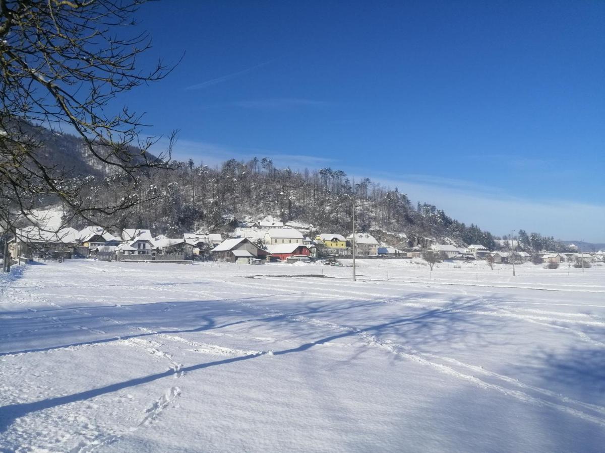 Planina  Hisa Haasbergヴィラ エクステリア 写真