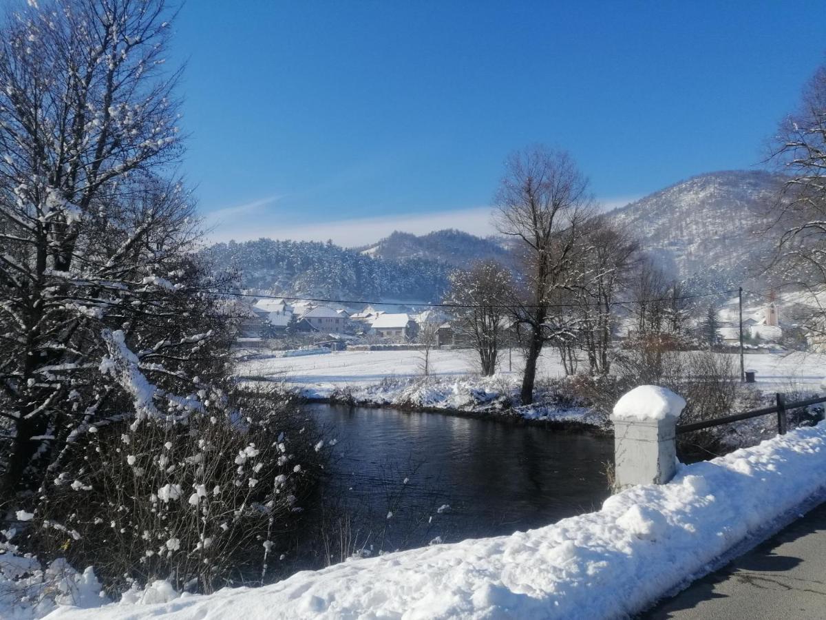 Planina  Hisa Haasbergヴィラ エクステリア 写真