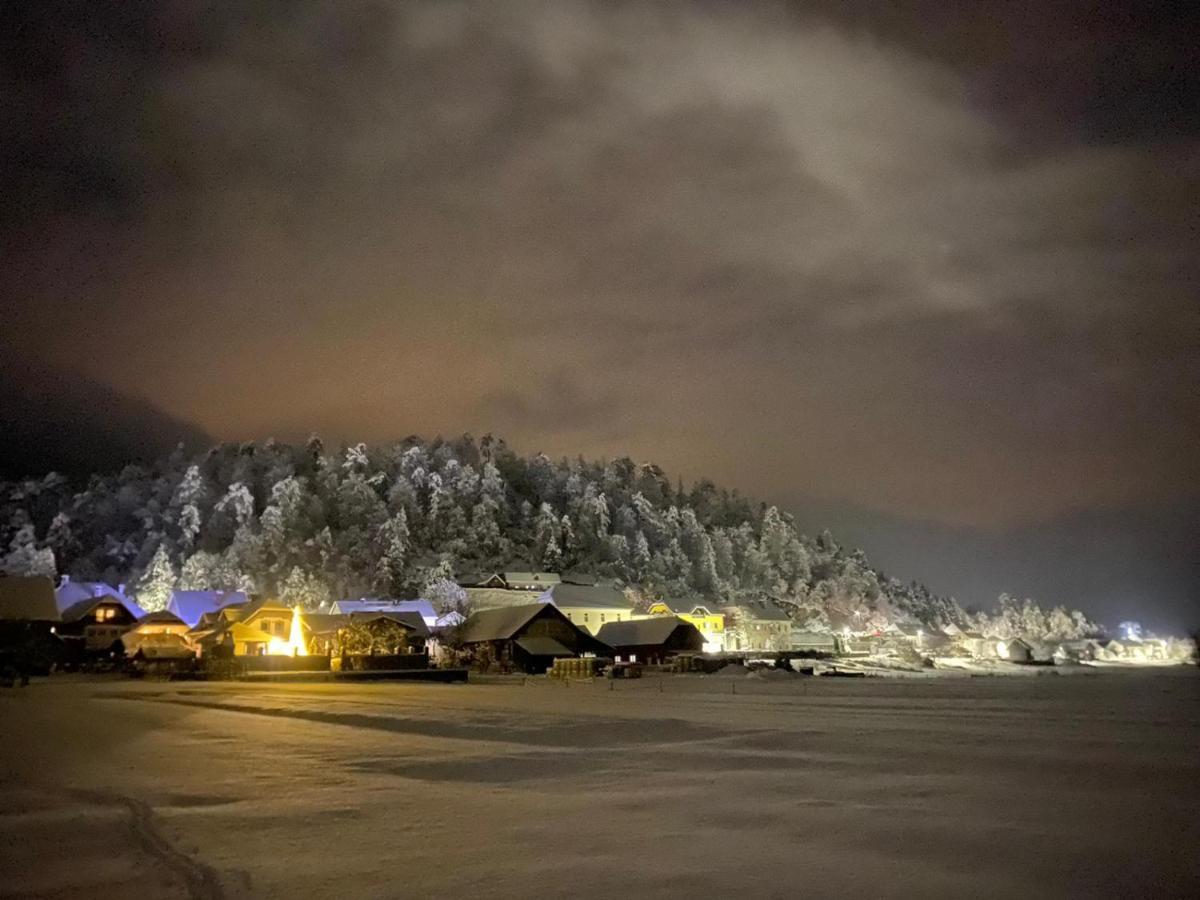 Planina  Hisa Haasbergヴィラ エクステリア 写真