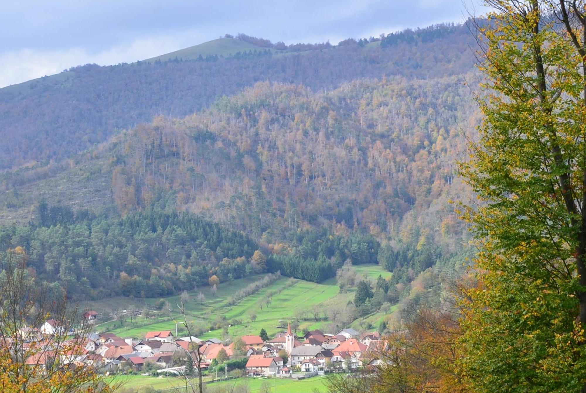 Planina  Hisa Haasbergヴィラ エクステリア 写真